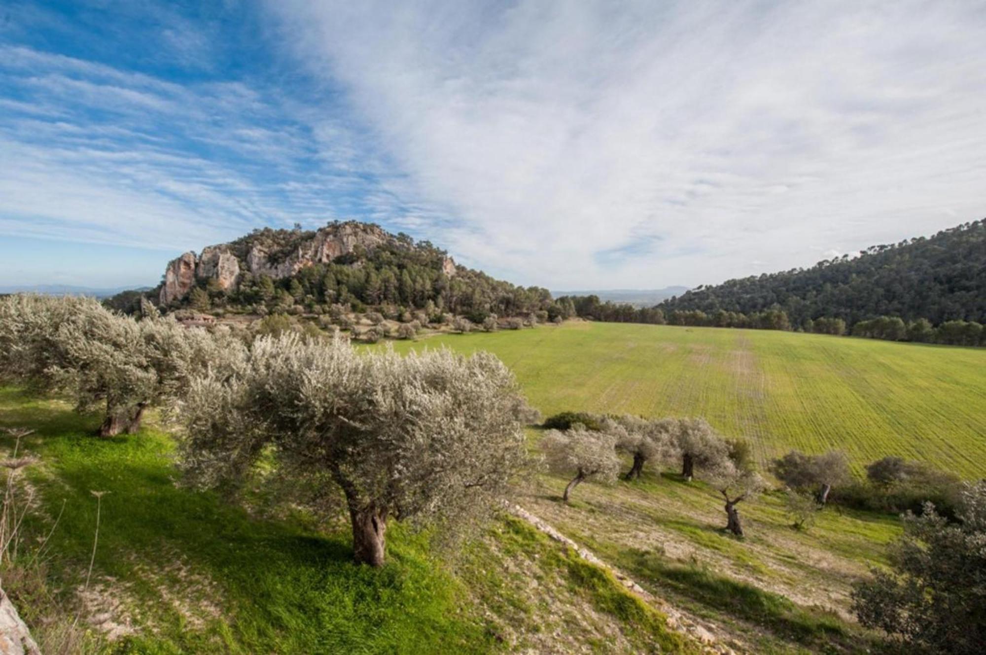 Villa Besso Mancor De La Vall *